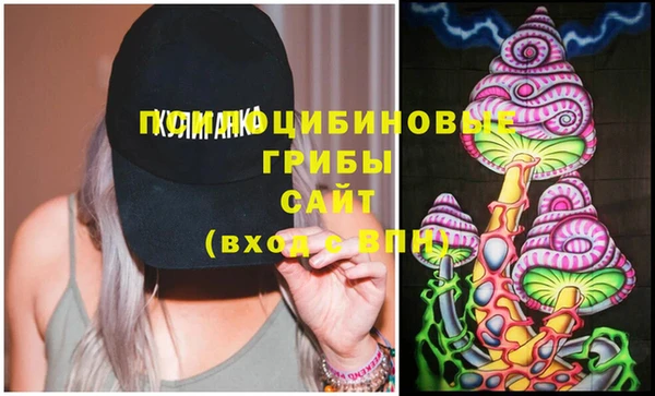 прущие крисы Корсаков