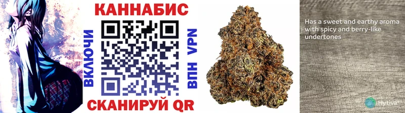 купить наркотики сайты  MEGA как войти  Бошки марихуана SATIVA & INDICA  Суровикино 